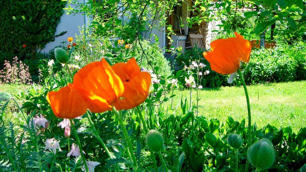 Janischs Fewo Im Spreewald, Terrasse, Grosser Garten Und Blick Inklusive Unterspreewald المظهر الخارجي الصورة