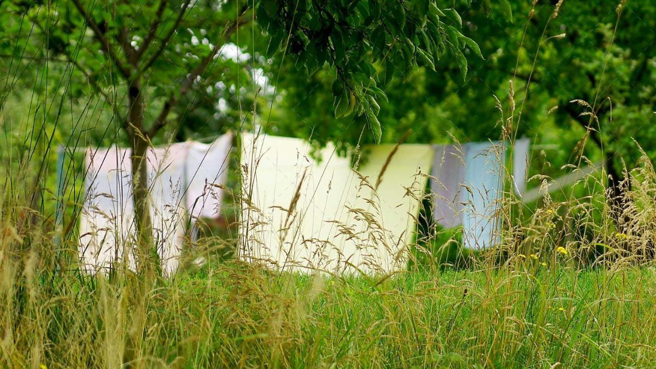 Janischs Fewo Im Spreewald, Terrasse, Grosser Garten Und Blick Inklusive Unterspreewald المظهر الخارجي الصورة