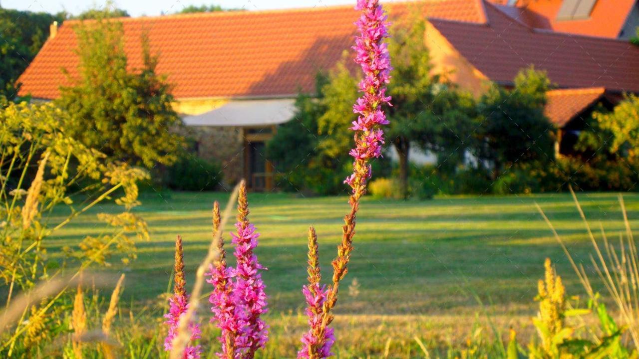 Janischs Fewo Im Spreewald, Terrasse, Grosser Garten Und Blick Inklusive Unterspreewald المظهر الخارجي الصورة