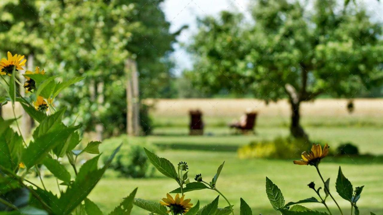 Janischs Fewo Im Spreewald, Terrasse, Grosser Garten Und Blick Inklusive Unterspreewald المظهر الخارجي الصورة