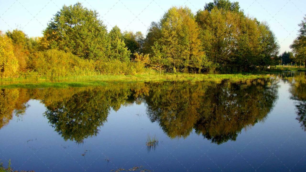 Janischs Fewo Im Spreewald, Terrasse, Grosser Garten Und Blick Inklusive Unterspreewald المظهر الخارجي الصورة